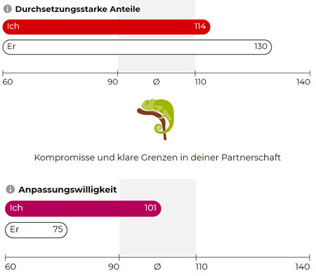 Red Flags bei Parship finden