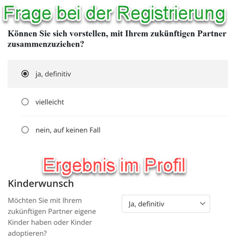 eDarling-Persönlichkeitstest Bug mit vertauschter Frage