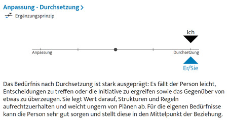 ElitePartner Ergänzungsprinzip Anpassung vs. Durchsetzung