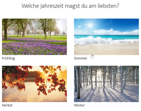 ElitePartner-Fragebogen Lieblingsjahreszeit